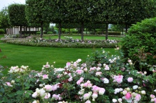 Романтический парк с лужайкой