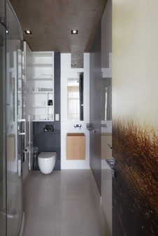 Фото интерьера санузла небольшой квартиры в современном стиле