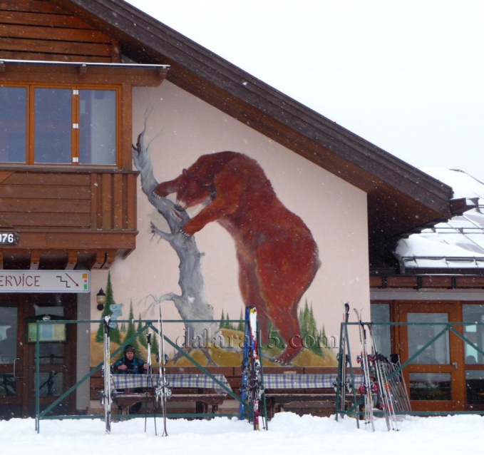Нарисованный медведь на стене дома