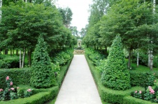 Сад-космополит