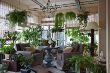 Фото интерьера зимнего сада квартиры в стиле фьюжн
