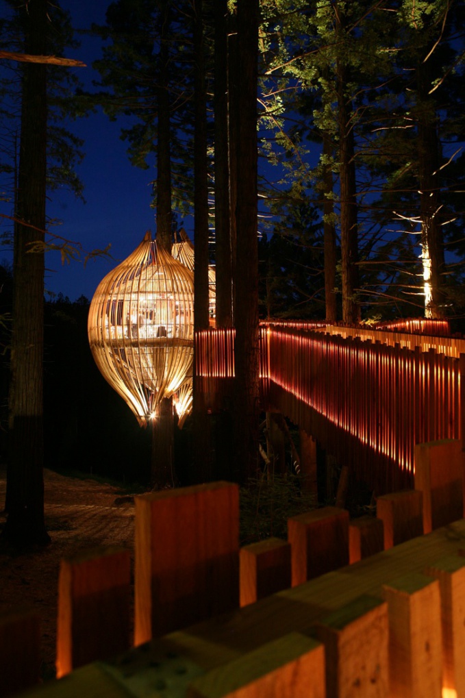 Дизайн ресторана на дереве