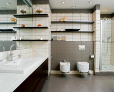 Фото интерьера санузла квартиры в современном стиле