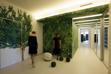 Фото интерьера входной зоны квартиры в стиле минимализм