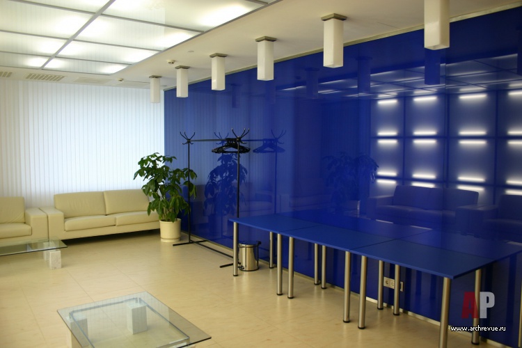 Фото интерьера холла представительского офиса 