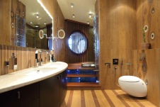 Фото интерьера санузла квартиры в современном стиле