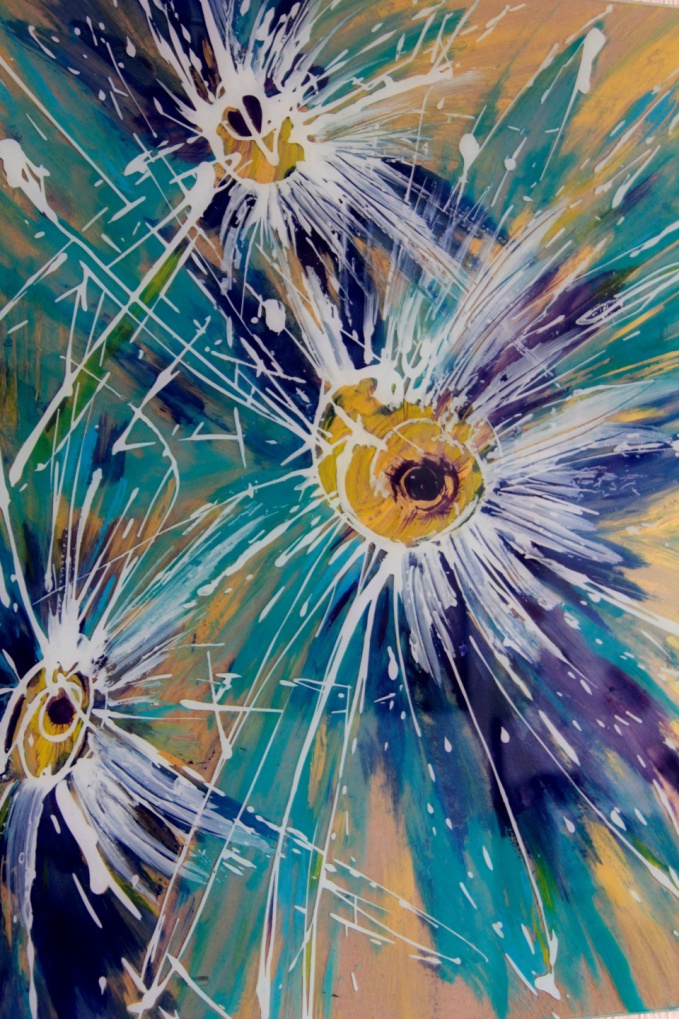 голубые астры