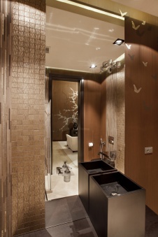 Фото интерьера санузла дома в современном стиле