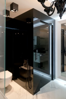 Фото интерьера санузла небольшой квартиры в современном стиле