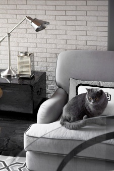 Фото интерьера детали квартиры в стиле ар-деко