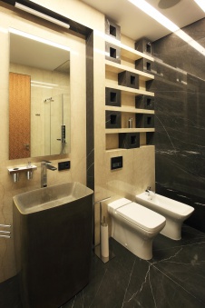 Фото интерьера санузла квартиры в современном стиле