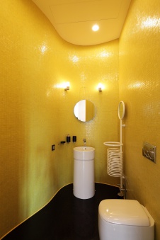 Фото интерьера санузла квартиры в современном стиле