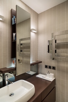 Фото интерьера санузла небольшой квартиры в современном стиле