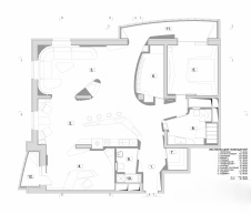 Планировка квартиры с общей гостиной с биоморфными формами.