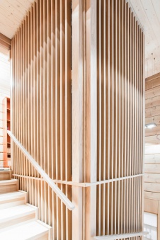 Фото лестницы дома в эко стиле