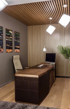 Фото интерьера кабинета дома в современном стиле