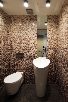 Фото интерьера санузла квартиры в стиле минимализм