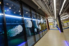 Фото интерьера холла офиса в стиле минимализм