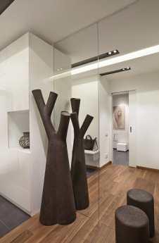 Фото интерьера входной зоны квартиры в современном стиле