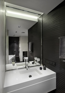 Фото интерьера санузла квартиры в современном стиле