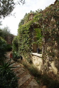 Фото ландшафта небольшого дома в неоклассическом стиле