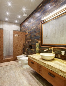 Фото интерьера санузла дома в современном стиле