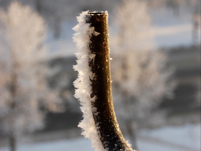 Вид с балкона прямо