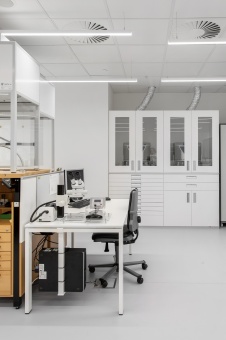 Фото интерьера лаборатории офиса в стиле минимализм