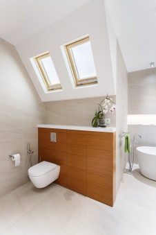 Фото интерьера санузла квартиры в стиле фьюжн