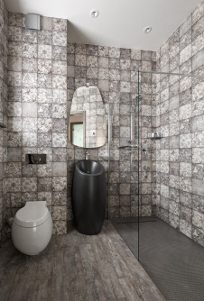 Фото интерьера санузла дома в современном стиле