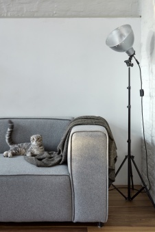 Фото интерьера гостиной квартиры в стиле минимализм