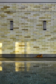 Фото интерьера бассейна дома в современном стиле