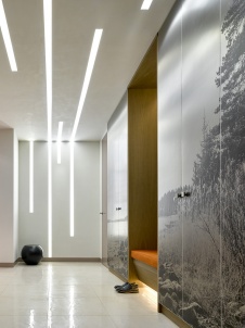 Фото интерьера входной зоны квартиры в современном стиле