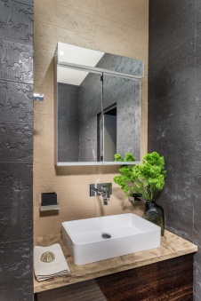 Фото интерьера санузла дома в современном стиле