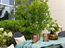 Фото интерьера веранды пентхауса в стиле фьюжн