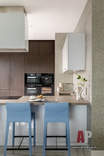 Фото интерьера кухни квартиры в американском стиле