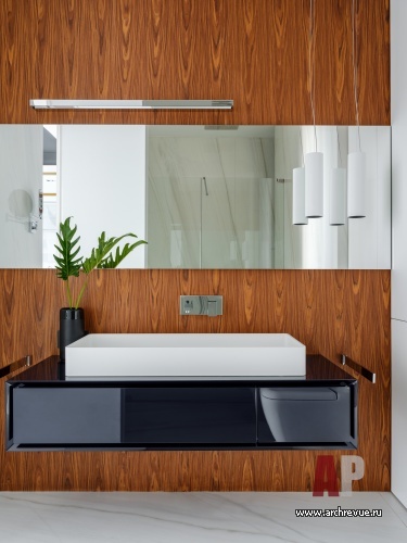 Фото интерьера санузла квартиры в современном стиле