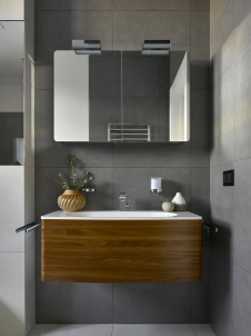 Фото интерьера санузла дома в современном стиле