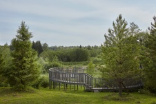Фото ландшафта деревянного дома в стиле фьюжн