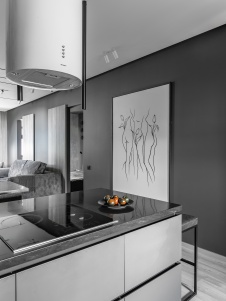 Фото интерьера кухни квартиры в стиле минимализм