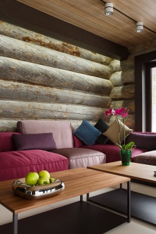 Фото интерьера гостиной деревянного дома в современном стиле