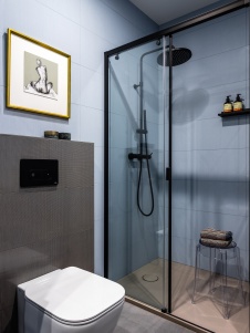 Фото интерьера санузла квартиры в стиле фьюжн