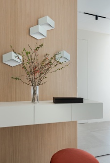 Фото интерьера входной зоны квартиры в стиле минимализм