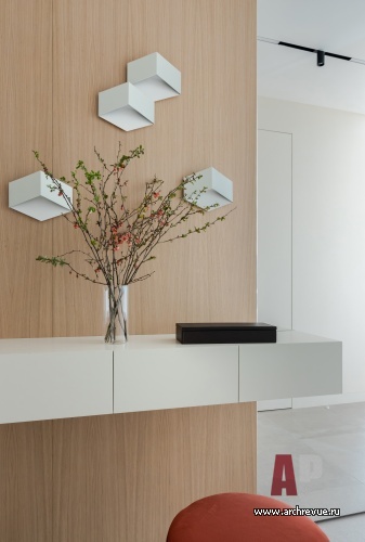 Фото интерьера входной зоны квартиры в стиле минимализм