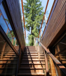 Фото лестницы деревянного загородного дома в эко стиле