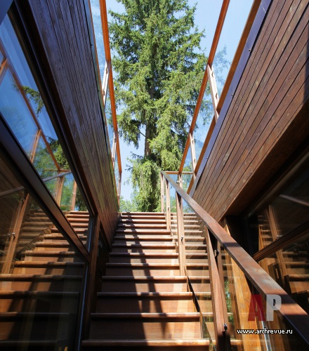 Фото лестницы деревянного загородного дома в эко стиле