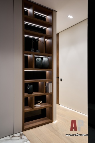 Фото интерьера входной зоны в квартиры в современном стиле