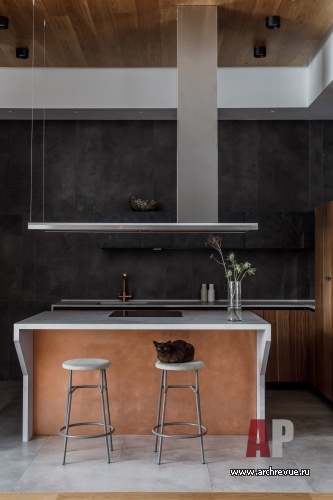 Фото интерьера кухни квартиры в современном стиле