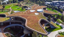 Озеленение крыш 