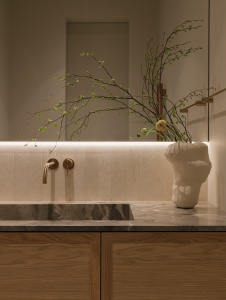 Фото интерьера гостевого санузла дома в современном стиле 